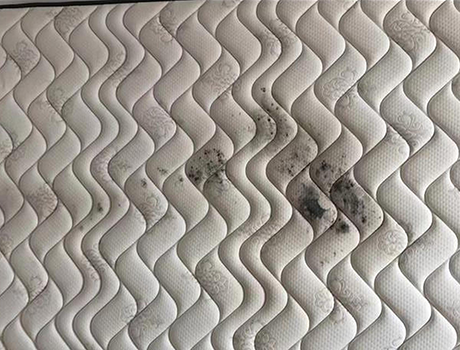 床墊發霉如何處理，霉菌對身體有危害嗎？